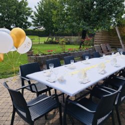 IMG_4441 2 IMG_4441 2