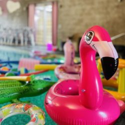 IMG_7877-768x1024 IMG_7877-768x1024